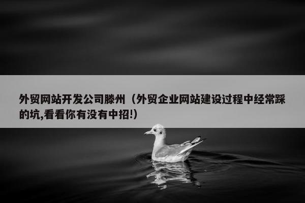 外贸网站开发公司滕州（外贸企业网站建设过程中经常踩的坑,看看你有没有中招!）