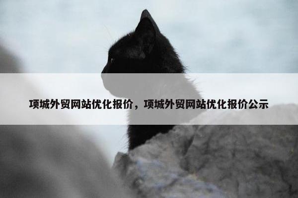 项城外贸网站优化报价，项城外贸网站优化报价公示