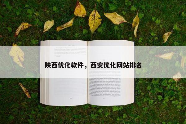 陕西优化软件，西安优化网站排名