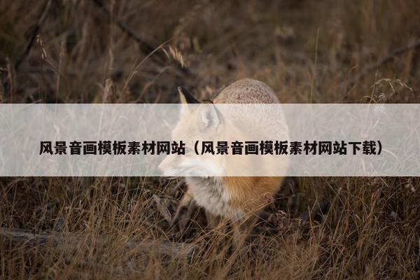 风景音画模板素材网站（风景音画模板素材网站下载）