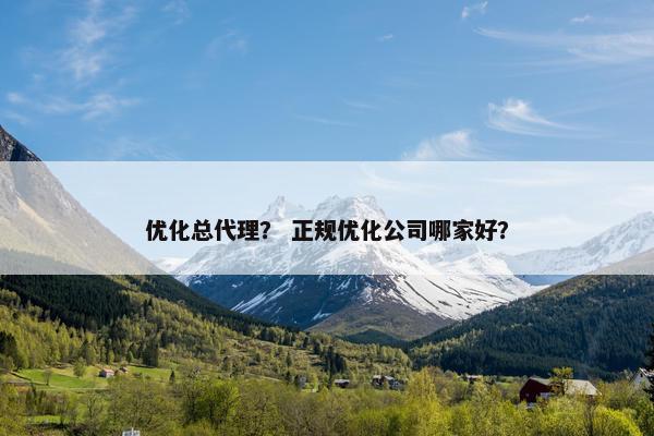 优化总代理？ 正规优化公司哪家好？