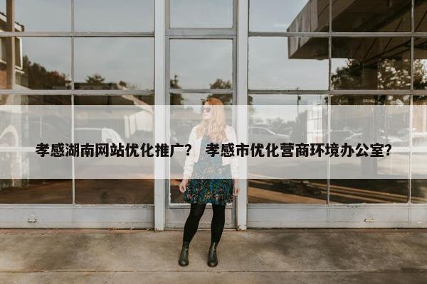 孝感湖南网站优化推广？ 孝感市优化营商环境办公室？
