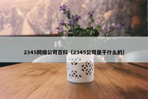 2345网络公司百科（2345公司是干什么的）