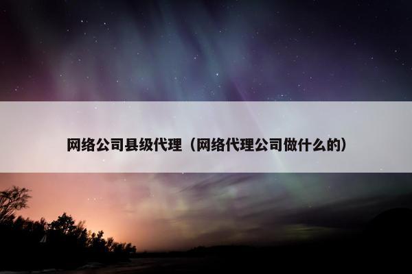 网络公司县级代理（网络代理公司做什么的）