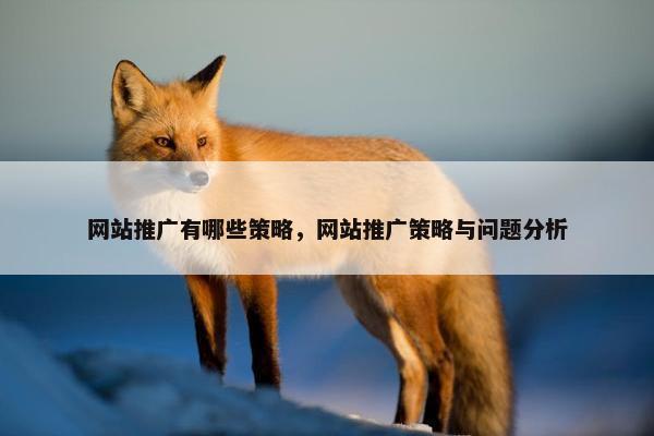 网站推广有哪些策略，网站推广策略与问题分析