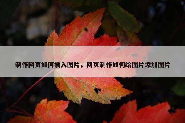 制作网页如何插入图片，网页制作如何给图片添加图片