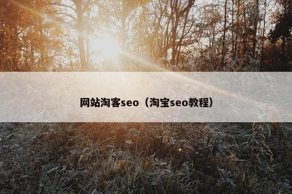 网站淘客seo（淘宝seo教程）