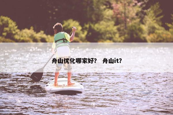 舟山优化哪家好？ 舟山it？