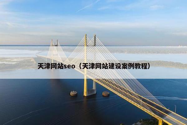 天津网站seo（天津网站建设案例教程）