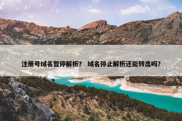 注册号域名暂停解析？ 域名停止解析还能转出吗？