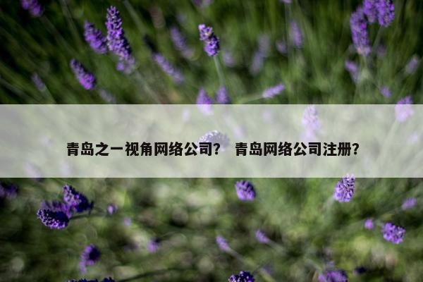 青岛之一视角网络公司？ 青岛网络公司注册？
