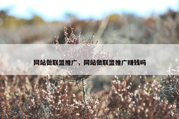 网站做联盟推广，网站做联盟推广赚钱吗