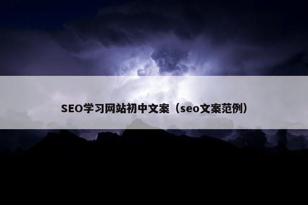 SEO学习网站初中文案（seo文案范例）