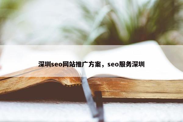 深圳seo网站推广方案，seo服务深圳