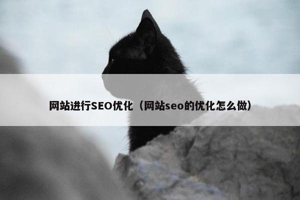 网站进行SEO优化（网站seo的优化怎么做）