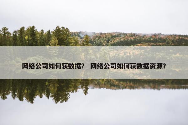 网络公司如何获数据？ 网络公司如何获数据资源？