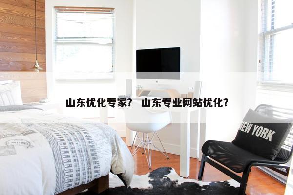 山东优化专家？ 山东专业网站优化？