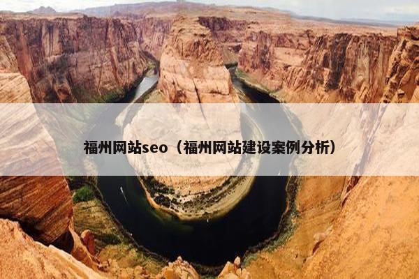 福州网站seo（福州网站建设案例分析）