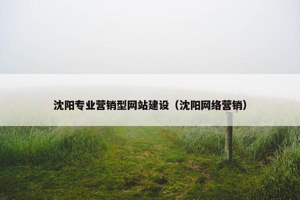 沈阳专业营销型网站建设（沈阳网络营销）
