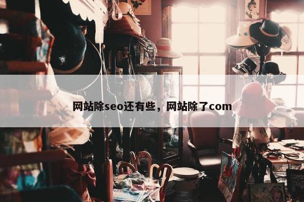 网站除seo还有些，网站除了com