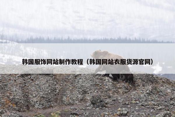 韩国服饰网站制作教程（韩国网站衣服货源官网）