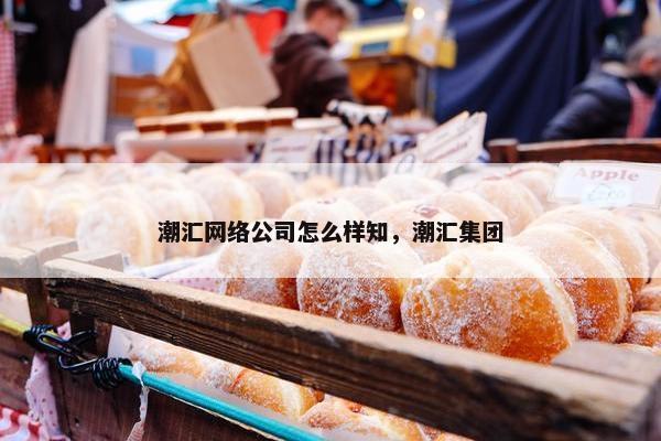 潮汇网络公司怎么样知，潮汇集团
