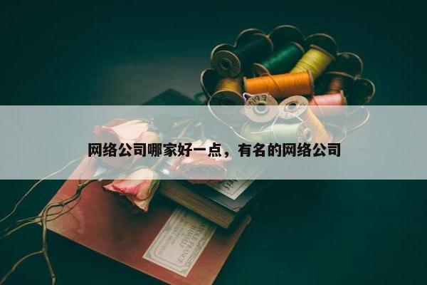 网络公司哪家好一点，有名的网络公司