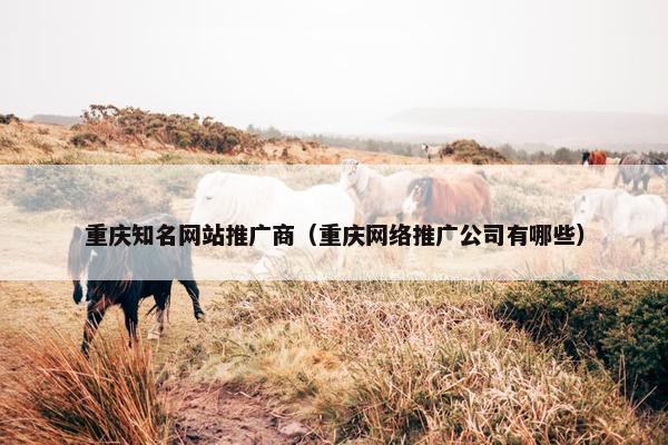 重庆知名网站推广商（重庆网络推广公司有哪些）