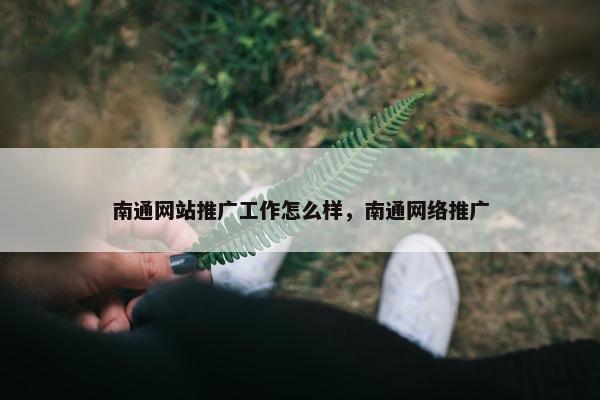 南通网站推广工作怎么样，南通网络推广