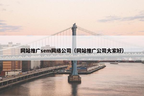 网站推广sem网络公司（网站推广公司大家好）