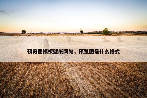 预览图模板壁纸网站，预览图是什么格式
