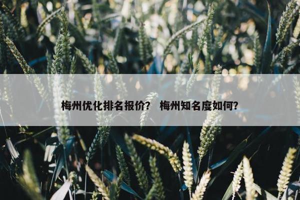 梅州优化排名报价？ 梅州知名度如何？