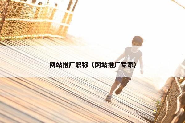 网站推广职称（网站推广专家）