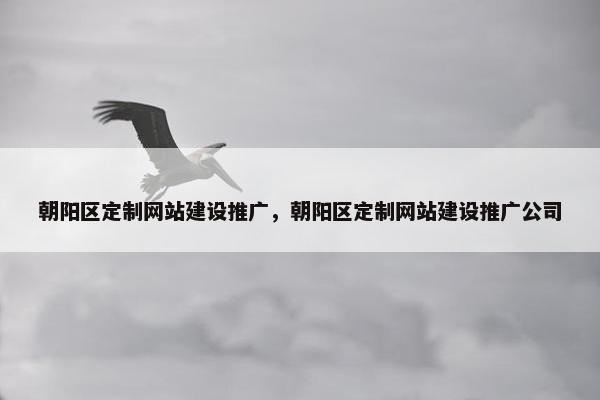 朝阳区定制网站建设推广，朝阳区定制网站建设推广公司