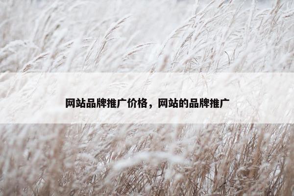 网站品牌推广价格，网站的品牌推广