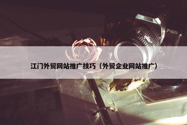 江门外贸网站推广技巧（外贸企业网站推广）