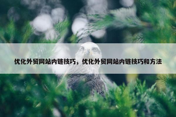 优化外贸网站内链技巧，优化外贸网站内链技巧和方法
