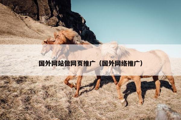 国外网站做网页推广（国外网络推广）