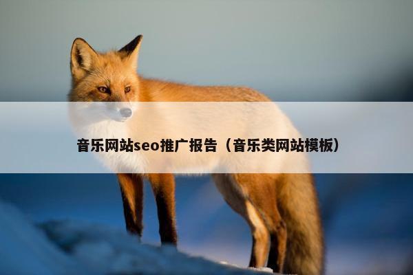 音乐网站seo推广报告（音乐类网站模板）
