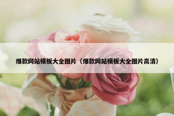 爆款网站模板大全图片（爆款网站模板大全图片高清）
