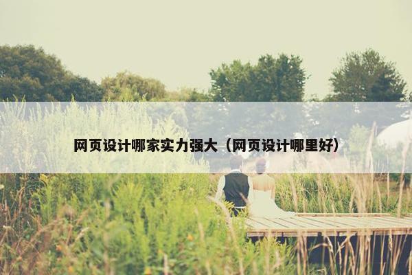 网页设计哪家实力强大（网页设计哪里好）