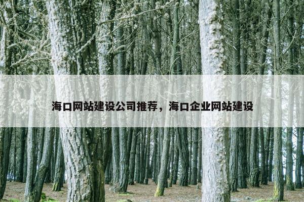 海口网站建设公司推荐，海口企业网站建设