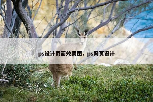 ps设计页面效果图，ps网页设计