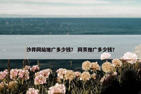 沙井网站推广多少钱？ 网页推广多少钱？
