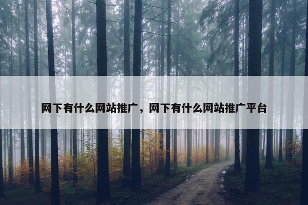 网下有什么网站推广，网下有什么网站推广平台