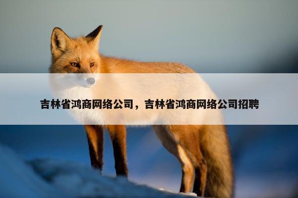 吉林省鸿商网络公司，吉林省鸿商网络公司招聘
