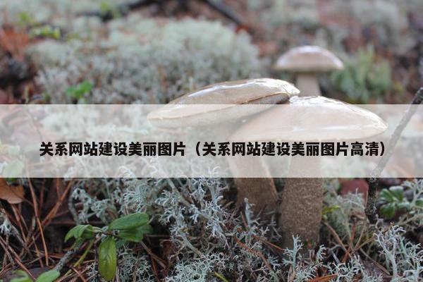 关系网站建设美丽图片（关系网站建设美丽图片高清）