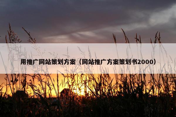 用推广网站策划方案（网站推广方案策划书2000）