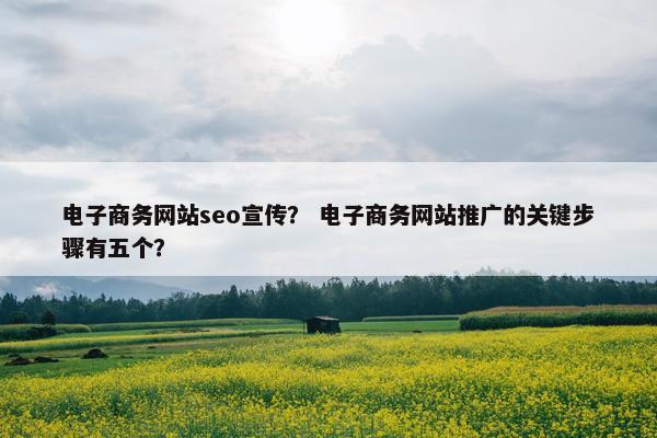 电子商务网站seo宣传？ 电子商务网站推广的关键步骤有五个？