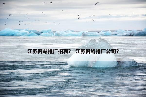 江苏网站推广招聘？ 江苏网络推广公司？